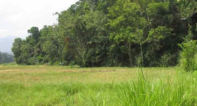 වගා නොකළ ඉඩම් හිමියන්ට රජයෙන් දැනුම්දීමක්